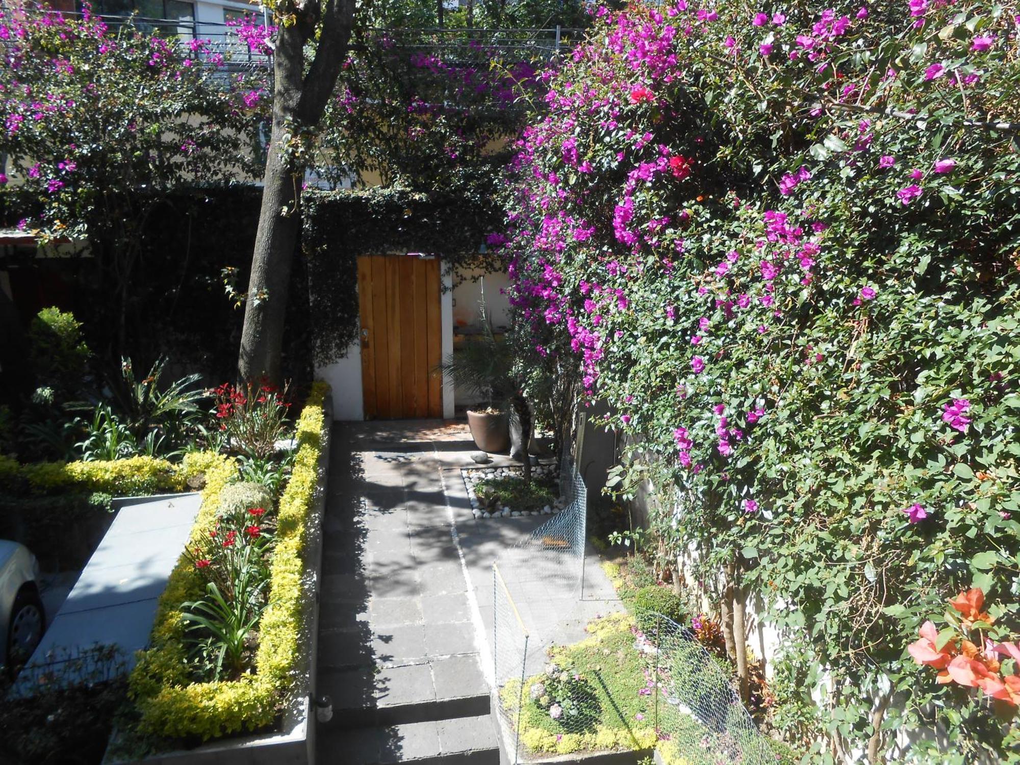 Appartement Terraza & Loft San Angel à Mexico Extérieur photo