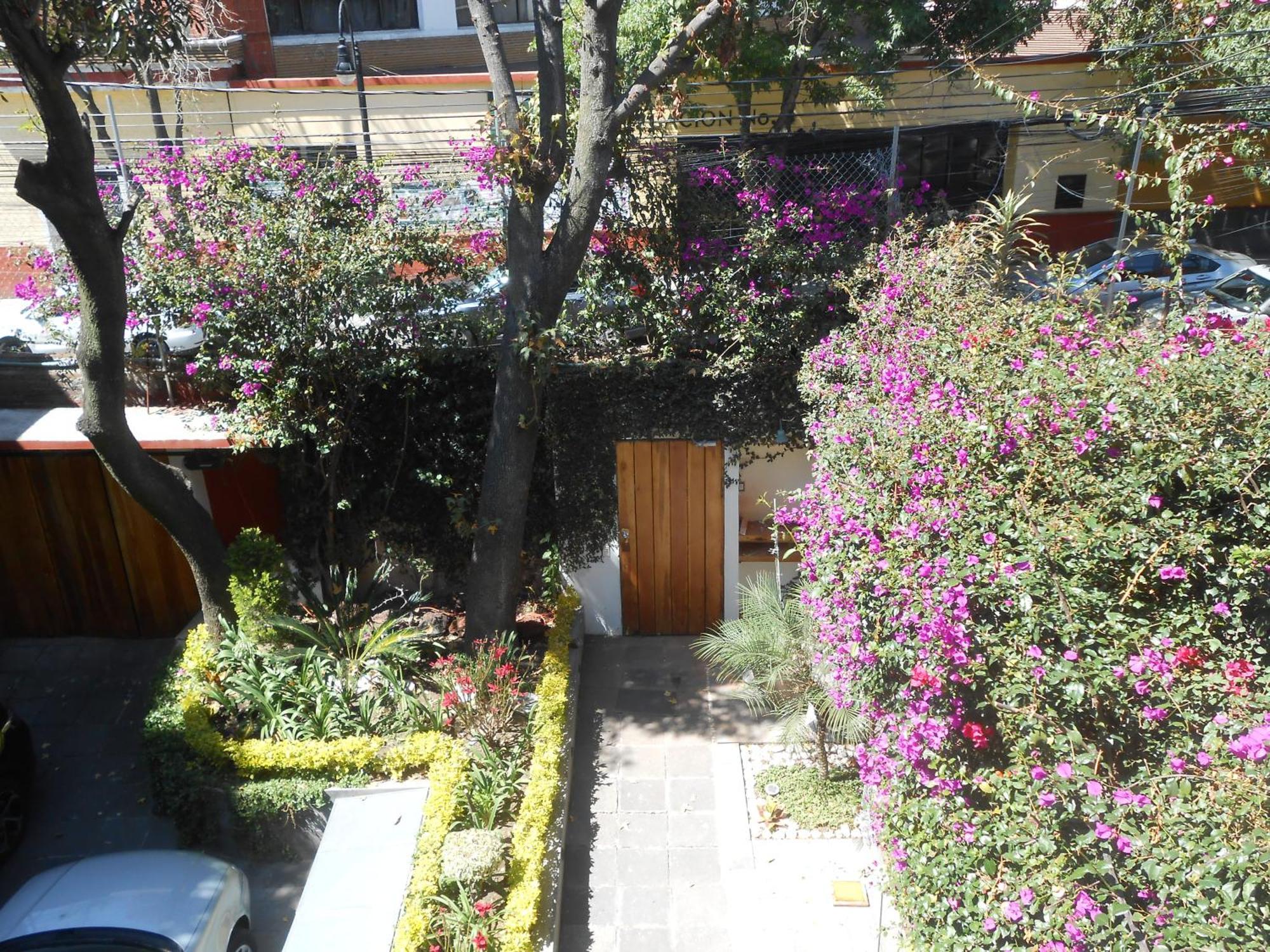 Appartement Terraza & Loft San Angel à Mexico Extérieur photo