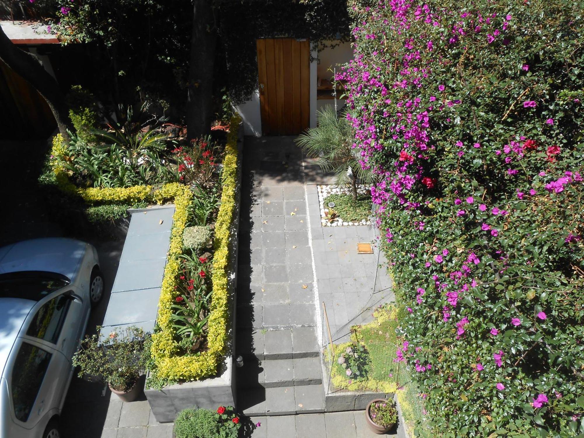 Appartement Terraza & Loft San Angel à Mexico Extérieur photo