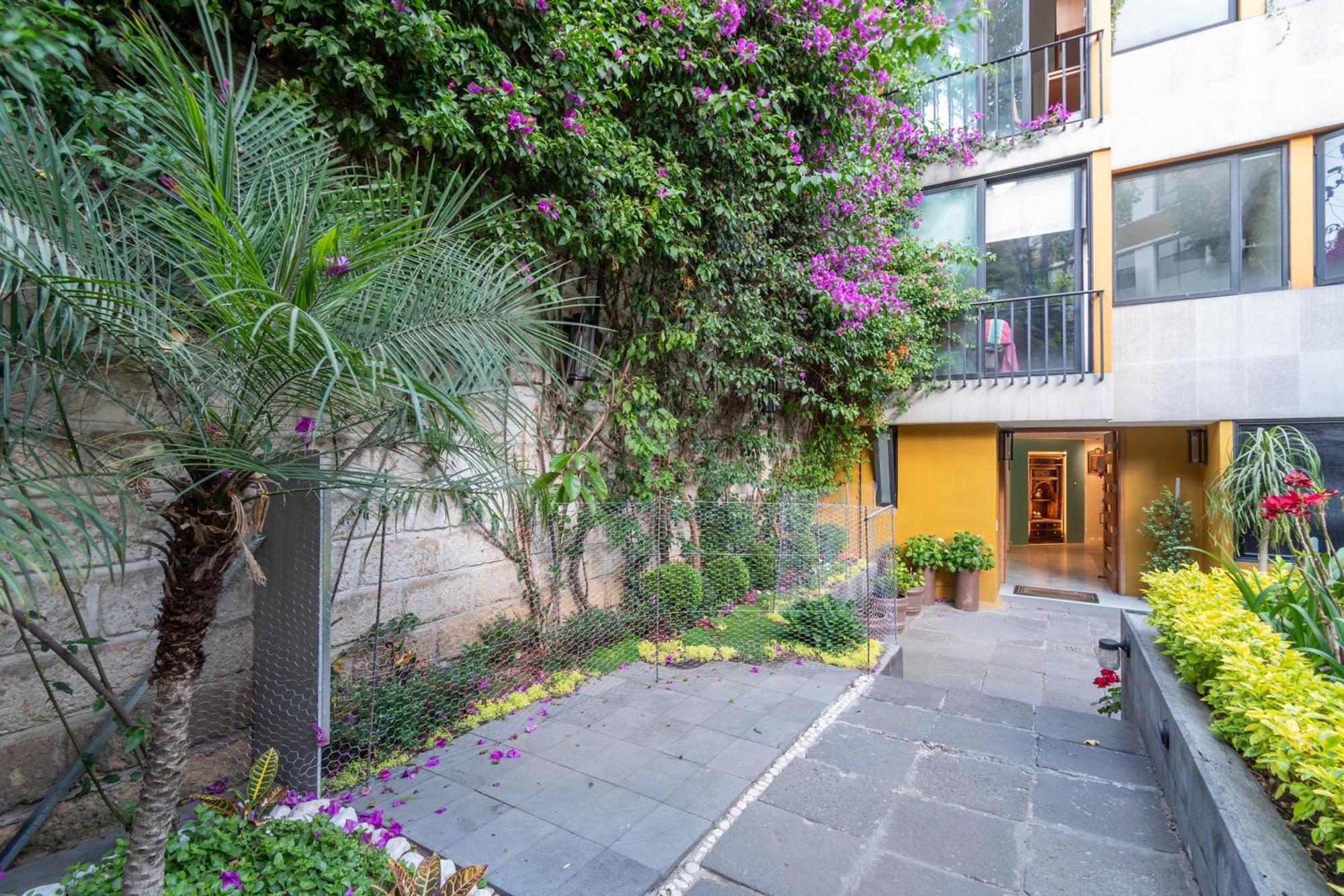 Appartement Terraza & Loft San Angel à Mexico Extérieur photo