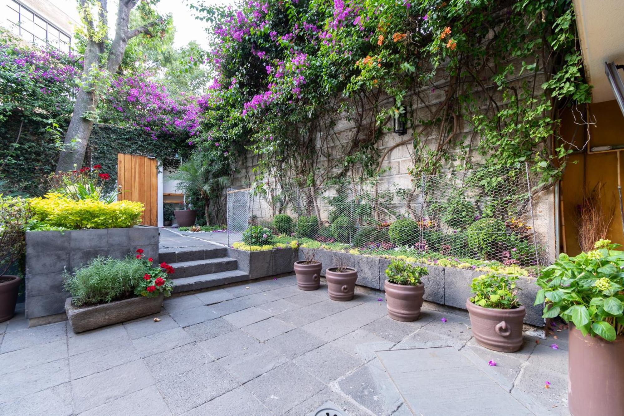 Appartement Terraza & Loft San Angel à Mexico Extérieur photo